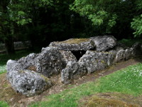 Lough Gur Wedge Tomb